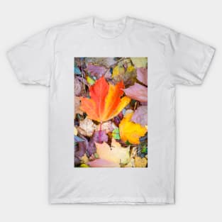 Fallen Leaves T-Shirt